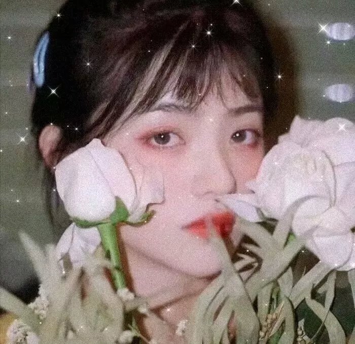 哈瓦那的吸血鬼